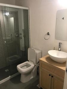 a bathroom with a toilet and a shower and a sink at Sur in Barra de Portezuelo +8 photos