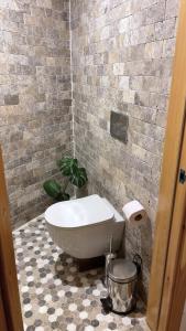 a bathroom with a tub and a potted plant at Dream River Sapanca in Sapanca +18 photos