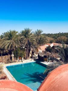 a swimming pool with palm trees in a resort at Aghurmi Siwa Hotel in Siwa