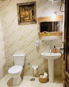 a bathroom with a toilet and a sink at The Green Mirage free pickup in Siwa +22 photos