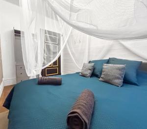 a blue bed with two pillows and a mosquito net at Glamour & jacuzzi privé Chambéry in Chambéry
