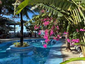 a swimming pool with pink flowers in a resort at Hollywood Beachfront Bed & Breakfast in Mamburao