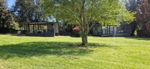 a tree in the grass in front of a house at Casa Prunelli in Bastelicaccia