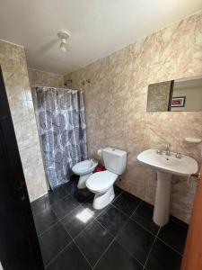 ein Badezimmer mit Toilette und Waschbecken in der Unterkunft El Teyu in Miramar + 5 Fotos