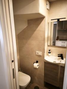 a small bathroom with a toilet and a sink at Duplex Apartman with sunny terrace in Mijas Pueblo in Mijas +9 photos