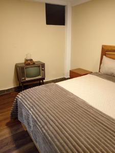 a hotel room with a bed and a tv at Hotel Gavilu in Ambato
