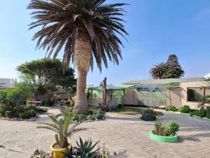 a palm tree in front of a building at Wild Eden Self-Catering Accommodation in Swakopmund