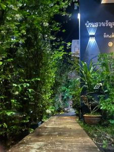 a pathway lined with trees and plants at night at Baansuan Runjuan Suratthani บ้านสวนรัญจวนสุราษฎร์ธานี in Ban Huai Chiat