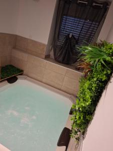 a large pool of water with plants in a bathroom at Secret Night in Audincourt