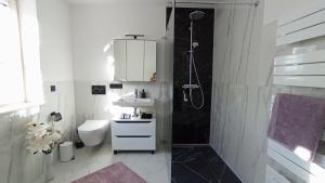 a bathroom with a shower and a sink and a toilet at Villa Florentina in Bad Wörishofen +22 photos