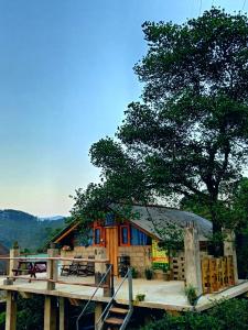 a house on a deck with a tree at Backpackers Hostel in Ella