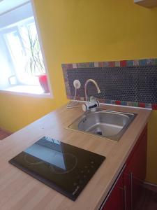 a kitchen counter with a sink and a window at Charming guest suite in triborder area in Huningue