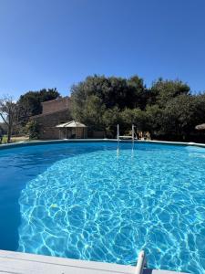 a large swimming pool with blue water at Son Rapinya Porto Cristo in Porto Cristo