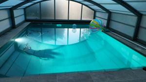 a swimming pool with a ball in the water at Gîte L'Orée des Bois in Paimpont +8 photos