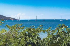 a view of a large body of water with boats at Camping U Pezzo - Mobil home 4 pièces 6/8 personnes Climatisé MAE-2285 in Saint-Florent