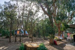 a group of trees with a tent and a truck at Camping U Pezzo - Mobil home 4 pièces 6/8 personnes Climatisé MAE-2285 in Saint-Florent +27 photos