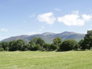 a field with trees and mountains in the background at Cottage 3 in Keswick
