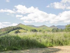 a field of grass with mountains in the background at Cottage 3 in Keswick +5 photos