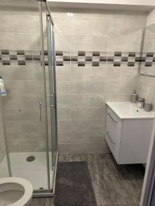 a bathroom with a shower and a toilet and a sink at BOUTON D'OR Studio Terrasse Grand Lit Coin Repas in Château-Arnoux-Saint-Auban