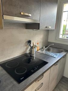 a kitchen with a stove and a sink at BOUTON D'OR Studio Terrasse Grand Lit Coin Repas in Château-Arnoux-Saint-Auban