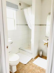 a white bathroom with a toilet and a sink at Beachfront Retreat in Falmouth +7 photos