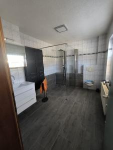 a bathroom with a shower and a sink and a toilet at Leuchtturmhus in Fürstenberg +11 photos