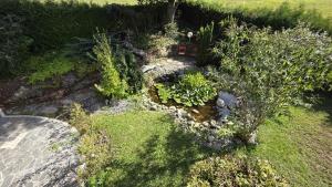 an overhead view of a garden with plants at Your Perfect Escape to Relax in Sipbachzell