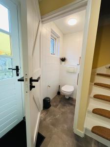 a bathroom with a toilet and stairs in it at It Winkelhûs in Terschelling +8 photos