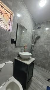 a bathroom with a white toilet and a sink at Ashe Oleng House in Arusha