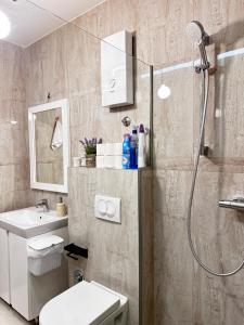 a bathroom with a shower and a toilet and a sink at Planinski MIR Bjelašnica in Bjelašnica +15 photos