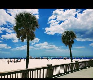 two palm trees on a beach with people on it at 2#studio In Clearwater usa in Clearwater