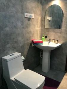 a bathroom with a toilet and a sink and a mirror at Lucky Palace in Beruwala