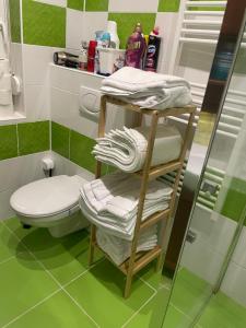 a bathroom with a toilet and a rack with towels at Barackvirág-Vendégház in Érpatak +19 photos