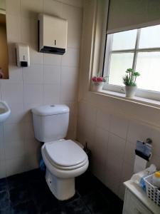 a bathroom with a white toilet and a window at 4-As Andar-Moradia Castelo in Guimarães +6 photos