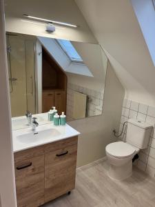 a bathroom with a toilet and a sink and a mirror at Silk and Stone Manor in Grez-Doiceau +27 photos
