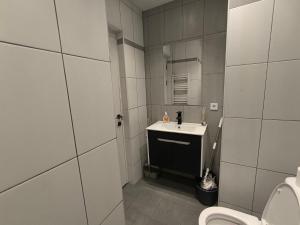 a small bathroom with a sink and a toilet at Apartment in Verin Apart hotel in Dilijan in Dilijan +8 photos