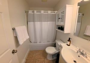 a bathroom with a toilet and a sink at Saltwater Steeple in Port Saunders +29 photos