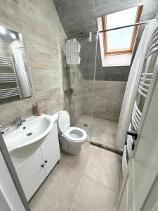 a bathroom with a toilet and a sink at Tudor's Rooms in Mediaş