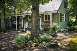 a small green house with a tree and some plants at Little Tin House in Van Reenen