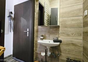 a bathroom with a sink and a mirror at La Petit Clé - Centre Ville in Sélestat