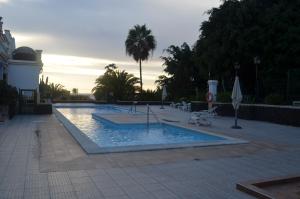 a swimming pool in a courtyard with a palm tree at Dream View in Adeje