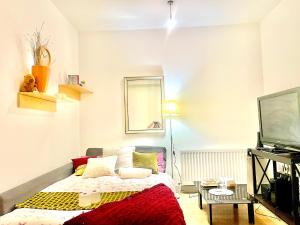 a small room with a bed and a television at Studio in Edgware