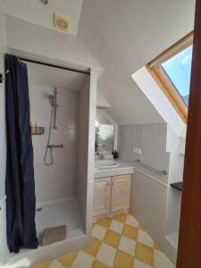a bathroom with a shower and a sink at Le nid des Pyrénées in Vielle-Aure +33 photos