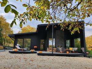 a black house with pumpkins in front of it at Black Walnut House with indoor outdoor fireplace in Izvoarele