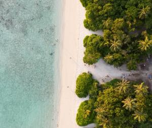 an overhead view of a beach with palm trees and the ocean at Luma Boutique Hotel Omadhoo in Omadhoo
