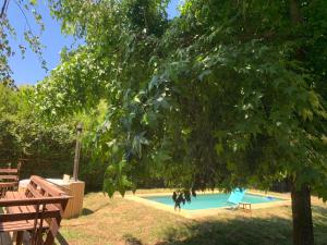a swimming pool with a chair and a tree at Cabaña Vista Las Bravas in Recinto