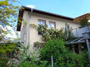 a house with a garden in front of it at Ferienhaus Tolazzi in Arnoldstein