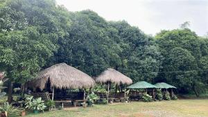 twoiki huts with tables and chairs in front of trees at Skybloom Farm Resort in Balasic