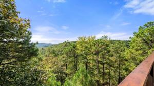 a view of the forest from the top of a tree house at New Unbelievable Views Gourmet Kitchen Firepit in Broken Bow