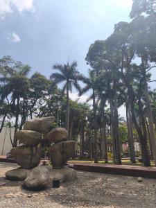a pile of rocks in a park with palm trees at Hotel Konfort Inn in Cali